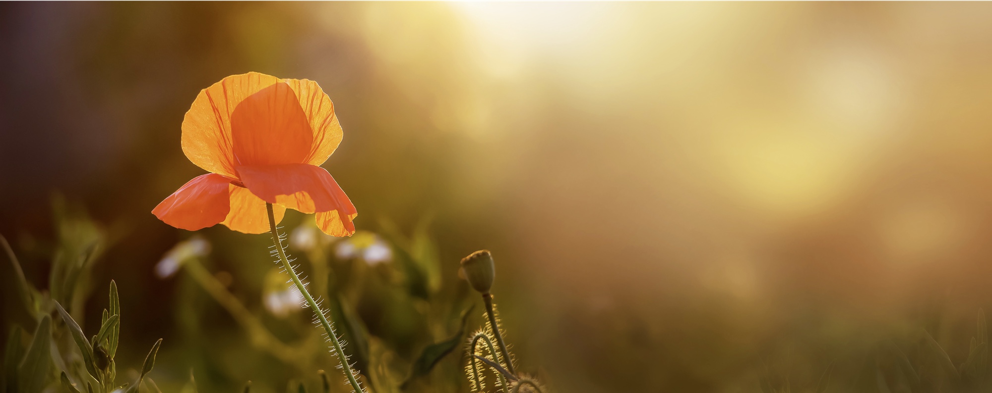 abschied.jpeg?timestamp=2181