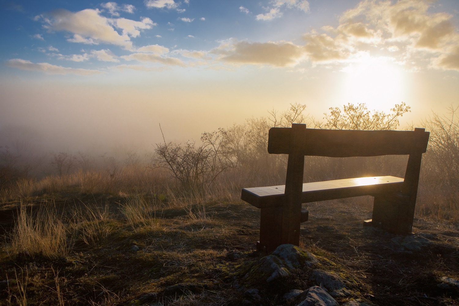 bank.jpeg?timestamp=4489